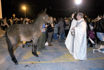 SI E' RINNOVATA LA TRADIZIONE DI SANTANTONIO ABATE, PROTETTORE DEGLI ANIMALI