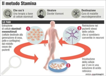 Stamina: decreto, stop a sperimentazione. Vannoni, torneremo al Tar,non rispettate indicazioni