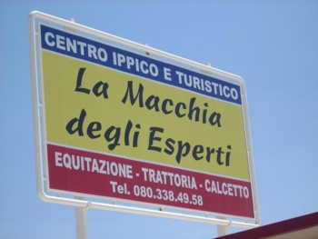 ''La macchia degli esperti'':Summer Camp