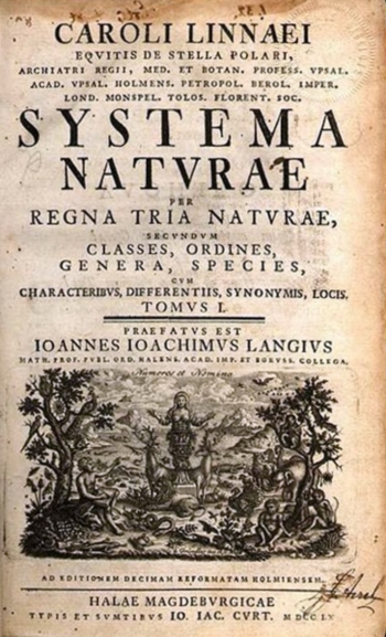 4° app. con la rubrica ''Il mondo delle piante'' a cura del prof. Chiapperini in collaborazione con il ''Vivaio la Riviera''