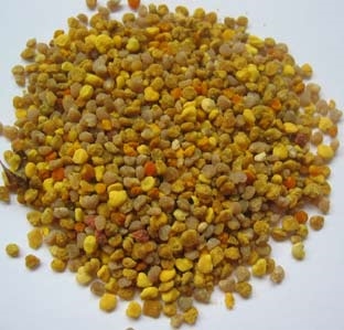 Il polline d’api: l’integratore naturale che fa bene all’organismo